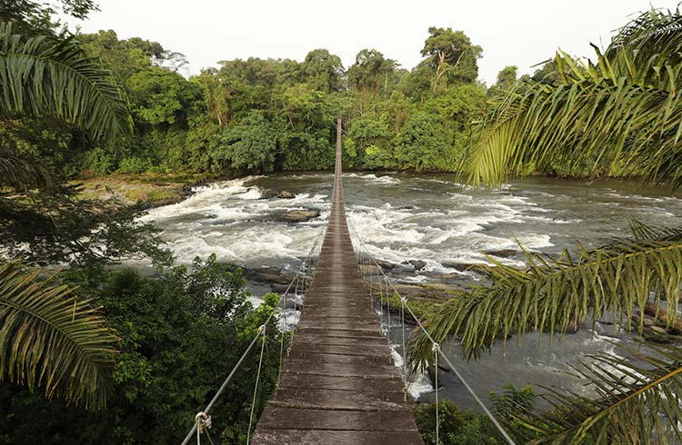 Cameroon mountain